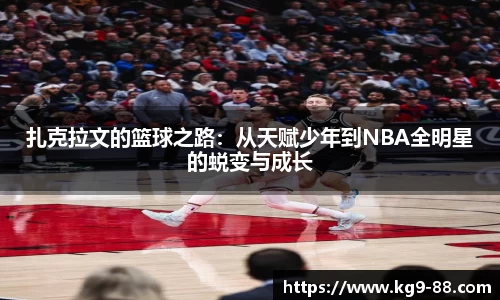 球王会体育